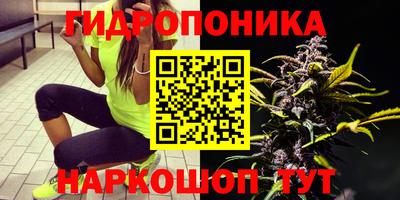 амф Краснознаменск